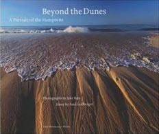 Beyond The Dunes